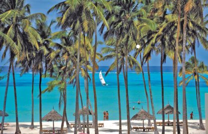 Dream of Zanzibar à EUR