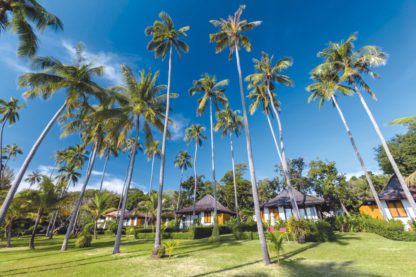 The Vijitt Resort Phuket - TUI Dernières Minutes