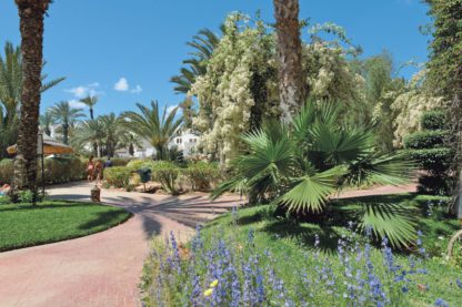 Vincci Djerba Resort & Spa par Vol